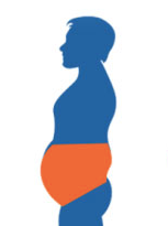 Lower Abdomen Fat