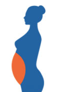 Stubborn Belly Fat